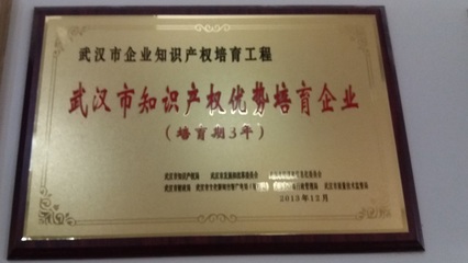 武汉市知识产权优势培育企业 企业管理的创新引擎与策略路径